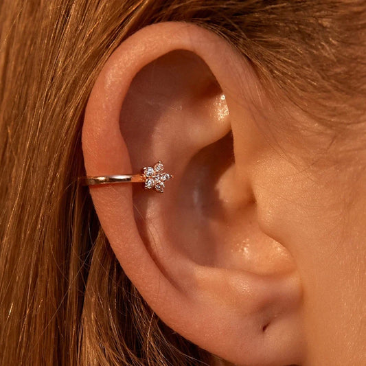 Earrings | 21665-167