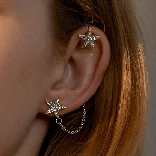 Earrings | 21666-51
