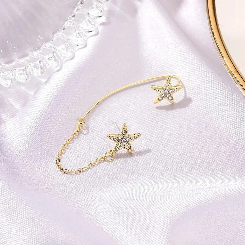 Earrings | 21666-51